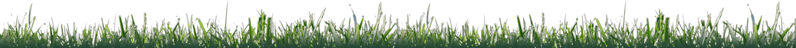 landscape-maintenance-37